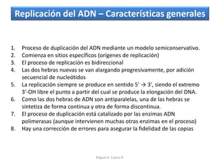 Replicación del ADN – Características generales
1. Proceso de duplicación del ADN mediante un modelo semiconservativo.
2. Comienza en sitios específicos (orígenes de replicación)
3. El proceso de replicación es bidireccional
4. Las dos hebras nuevas se van alargando progresivamente, por adición
secuencial de nucleótidos
5. La replicación siempre se produce en sentido 5' → 3', siendo el extremo
3'-OH libre el punto a partir del cual se produce la elongación del DNA.
6. Como las dos hebras de ADN son antiparalelas, una de las hebras se
sintetiza de forma continua y otra de forma discontinua.
7. El proceso de duplicación está catalizado por las enzimas ADN
polimerasas (aunque intervienen muchas otras enzimas en el proceso)
8. Hay una corrección de errores para asegurar la fidelidad de las copias
Miguel A. Castro R.
 