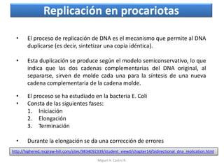 Replicación en procariotas
• El proceso se ha estudiado en la bacteria E. Coli
• Consta de las siguientes fases:
1. Iniciación
2. Elongación
3. Terminación
• Durante la elongación se da una corrección de errores
• El proceso de replicación de DNA es el mecanismo que permite al DNA
duplicarse (es decir, sintetizar una copia idéntica).
• Esta duplicación se produce según el modelo semiconservativo, lo que
indica que las dos cadenas complementarias del DNA original, al
separarse, sirven de molde cada una para la síntesis de una nueva
cadena complementaria de la cadena molde.
http://highered.mcgraw-hill.com/sites/9834092339/student_view0/chapter14/bidirectional_dna_replication.html
Miguel A. Castro R.
 