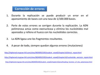 Corrección de errores
1. Durante la replicación se puede producir un error en el
apareamiento de bases con una tasa de 1/100.000 bases.
2. Parte de estos errores se corrigen durante la replicación. La ADN
polimerasa actúa como exonucleasa y elimina los nucleótidos mal
apareados y rellena el hueco con los nucleótidos correctos.
3. La ADN ligasa une los fragmentos resultantes.
4. A pesar de todo, siempre quedan algunos errores (mutaciones)
http://highered.mcgraw-hill.com/sites/9834092339/student_view0/chapter14/direct_repair.html
http://highered.mcgraw-hill.com/sites/9834092339/student_view0/chapter14/nucleotide_excision_repair.html
http://highered.mcgraw-hill.com/sites/9834092339/student_view0/chapter14/proofreading_function_of_dna_polymerase.html
Miguel A. Castro R.
 