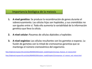 Importancia biológica de la meiosis
1. A nivel genético: Se produce la recombinación de genes durante el
sobrecruzamiento. Las células hijas son haploides, y sus cromátidas no
son iguales entre sí. Todo ello aumenta la variabilidad de la información
genética que lleva la célula.
2. A nivel celular: Pasamos de células diploides a haploides
3. A nivel orgánico: Las células resultantes son los gametos o esporas. La
fusión de gametos con la mitad de cromosomas garantiza que se
mantenga el número cromosómico del organismo.
http://highered.mcgraw-hill.com/sites/9834092339/student_view0/chapter11/unique_features_of_meiosis.html
http://highered.mcgraw-hill.com/sites/9834092339/student_view0/chapter11/comparison_of_meiosis_and_mitosis.html
Miguel A. Castro R.
 