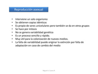 Reproducción asexual
• Interviene un solo organismo
• Se obtienen copias idénticas
• Es propio de seres unicelulares pero también se da en otros grupos
• Se hace por mitosis
• No se genera variabilidad genética
• Es un proceso sencillo y rápido.
• Muy útil para la colonización de nuevos medios.
• La falta de variabilidad puede originar la extinción por falta de
adaptación en caso de cambio del medio
Miguel A. Castro R.
 