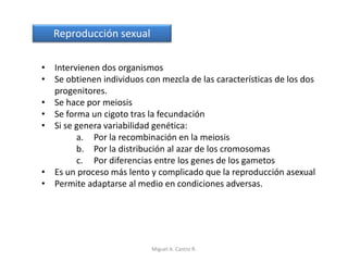 Reproducción sexual
• Intervienen dos organismos
• Se obtienen individuos con mezcla de las características de los dos
progenitores.
• Se hace por meiosis
• Se forma un cigoto tras la fecundación
• Si se genera variabilidad genética:
a. Por la recombinación en la meiosis
b. Por la distribución al azar de los cromosomas
c. Por diferencias entre los genes de los gametos
• Es un proceso más lento y complicado que la reproducción asexual
• Permite adaptarse al medio en condiciones adversas.
Miguel A. Castro R.
 