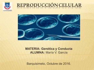 REPRODUCCIÓNCELULAR
MATERIA: Genética y Conducta
ALUMNA: María V. García
Barquisimeto, Octubre de 2016.
 