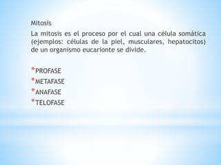 Mitosis
La mitosis es el proceso por el cual una célula somática
(ejemplos: células de la piel, musculares, hepatocitos)
de un organismo eucarionte se divide.
*PROFASE
*METAFASE
*ANAFASE
*TELOFASE
 