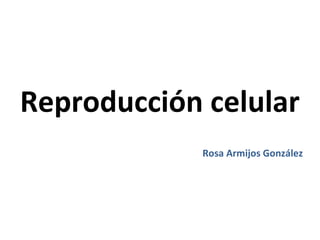Reproducción celular
             Rosa Armijos González
 