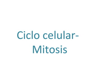Ciclo celular-
   Mitosis
 