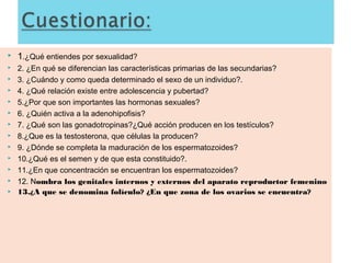 













1.¿Qué entiendes por sexualidad?
2. ¿En qué se diferencian las características primarias de las secundarias?
3. ¿Cuándo y como queda determinado el sexo de un individuo?.
4. ¿Qué relación existe entre adolescencia y pubertad?
5.¿Por que son importantes las hormonas sexuales?
6. ¿Quién activa a la adenohipofisis?
7. ¿Qué son las gonadotropinas?¿Qué acción producen en los testículos?
8.¿Que es la testosterona, que células la producen?
9. ¿Dónde se completa la maduración de los espermatozoides?
10.¿Qué es el semen y de que esta constituido?.
11.¿En que concentración se encuentran los espermatozoides?
12. Nombra los genitales internos y externos del aparato reproductor femenino
13.¿A que se denomina folículo? ¿En que zona de los ovarios se encuentra?

 