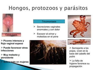 Tricomoniasis
 Secreciones vaginales
anormales y con dolor
Candidiasis
 Picores intensos y
flujo vaginal espeso
 Puede favorecer otras
infecciones
 Muy molesto y
persistente
 Sobre todo en mujeres

 Escozor al orinar y
molestias en el pene
Ladillas
 Semejante a los
piojos, viven en la
base del cabello del
pubis
 La falta de
higiene favorece su
propagación

 