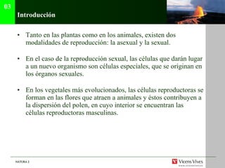 Introducci ón Tanto en las plantas como en los animales, existen dos modalidades de reproducción: la asexual y la sexual. En el caso de la reproducción sexual, las células que darán lugar a un nuevo organismo son células especiales, que se originan en los órganos sexuales. En los vegetales más evolucionados, las células reproductoras se forman en las flores que atraen a animales y éstos contribuyen a la dispersión del polen, en cuyo interior se encuentran las células reproductoras masculinas. 03 