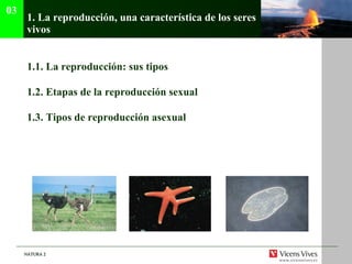 1.  La reproducci ón, una característica de los seres vivos 1.1.  La reproducción: sus tipos 1.2.  Etapas de la reproducción sexual 1.3.  Tipos de reproducción asexual 03 