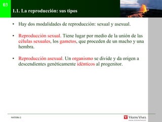 1.1.  La reproducción: sus tipos Hay dos modalidades de reproducción: sexual y asexual. Reproducción sexual.  Tiene lugar por medio de la unión de las  células sexuales , los  gametos , que proceden de un macho y una hembra. Reproducción asexual.  Un  organismo  se divide y da origen a descendientes genéticamente  idénticos  al progenitor. 03 