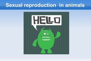 Sexual reproduction in animals

 