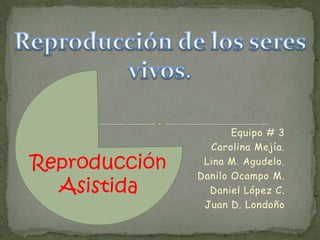 Equipo # 3
                 Carolina Mejía.
Reproducción    Lina M. Agudelo.
               Danilo Ocampo M.
  Asistida       Daniel López C.
                Juan D. Londoño
 