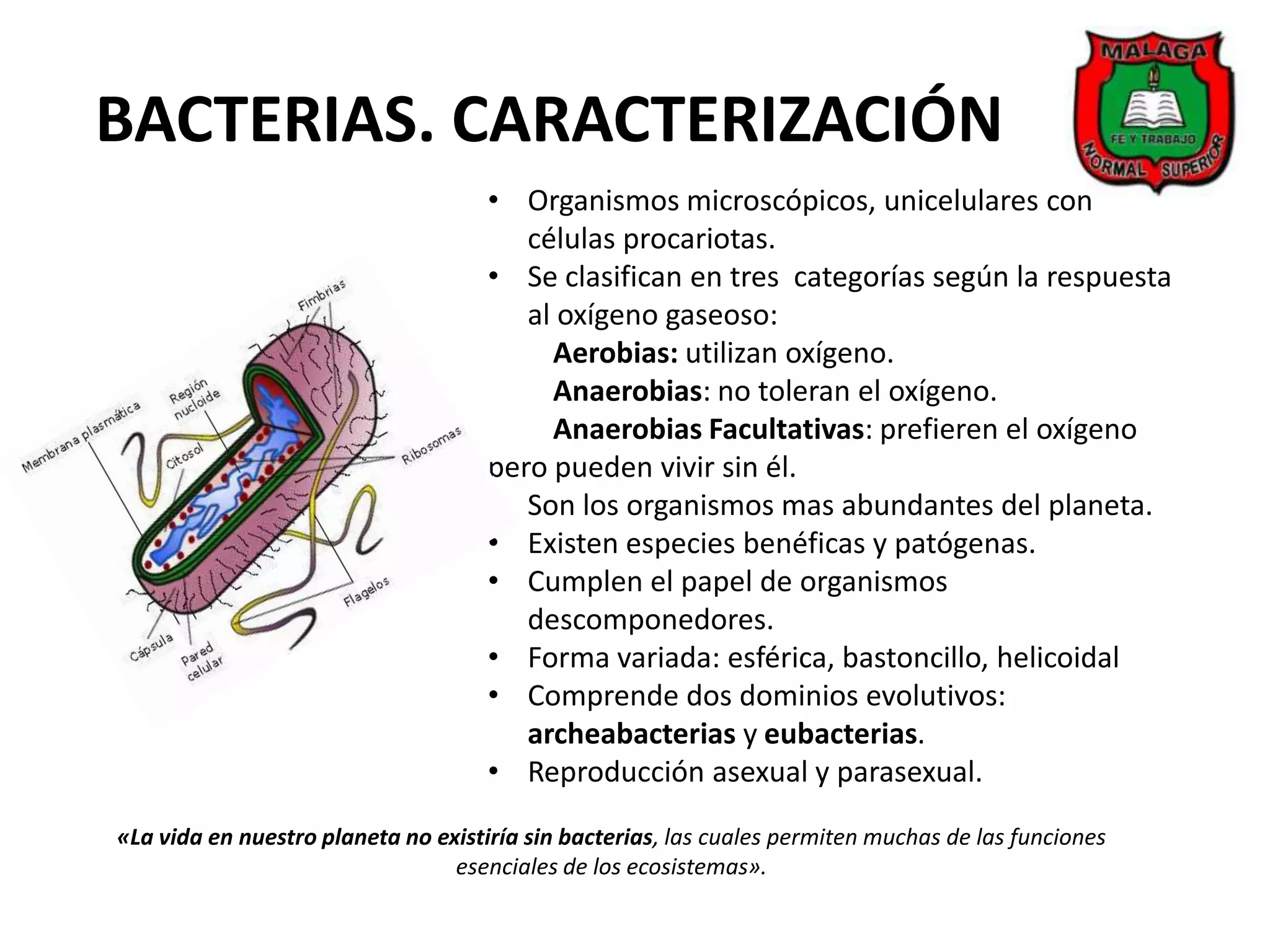 Reproducción en bacterias. | PPTX