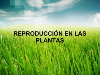 REPRODUCCIÓN EN LAS
PLANTAS
 