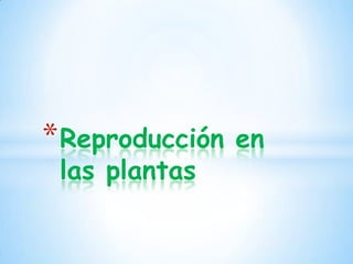 * Reproducción   en
 las plantas
 