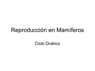 Reproducción en Mamíferos
Ciclo Ovárico

 