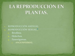 LA REPRODUCCIÓN EN PLANTAS. REPRODUCCIÓN ASEXUAL REPRODUCCIÓN SEXUAL.. Briofitos. Helechos. Fanerógamas.  ANGIOSPERMAS.  