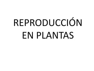 REPRODUCCIÓN
EN PLANTAS
 