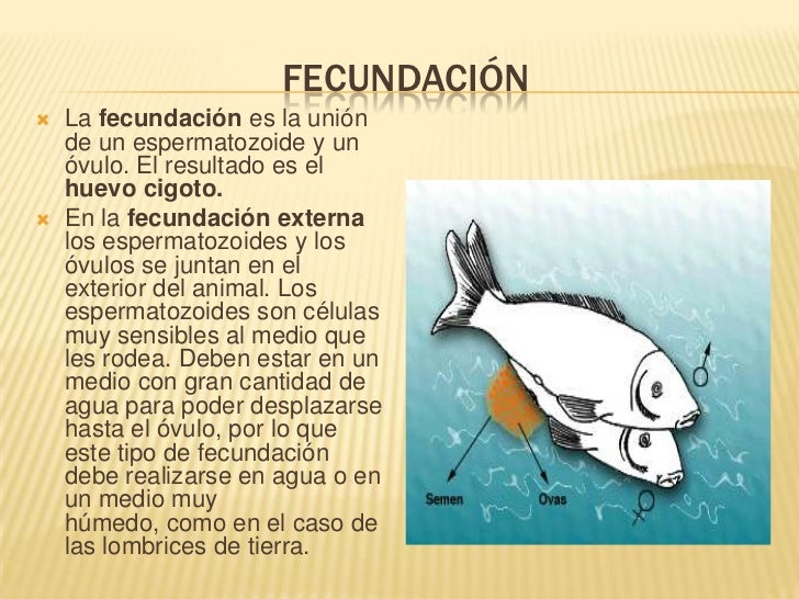 Reproducción en plantas y animales