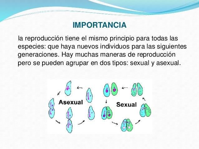 Reproducción en seres vivos
