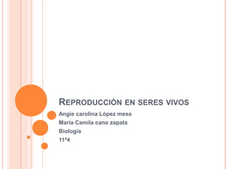 REPRODUCCIÓN EN SERES VIVOS
Angie carolina López mesa
María Camila cano zapata
Biología
11ª4
 
