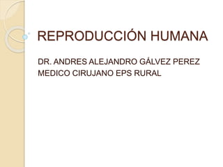 REPRODUCCIÓN HUMANA
DR. ANDRES ALEJANDRO GÁLVEZ PEREZ
MEDICO CIRUJANO EPS RURAL
 