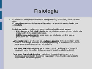 Fisiología
● La formación de espermios comienza en la pubertad (12 -15 años) hasta los 50-60
años.
El hipotalamo secreta l...