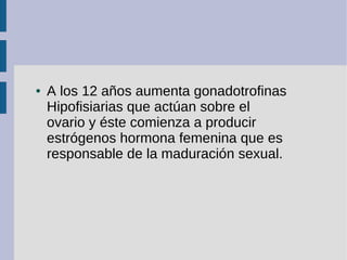 ● A los 12 años aumenta gonadotrofinas
Hipofisiarias que actúan sobre el
ovario y éste comienza a producir
estrógenos horm...