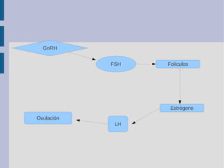 GnRH
FSH
LH
Folículos
Ovulación
Estrógeno
 