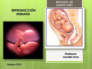 BIOLOGÍA DE
QUINTO AÑO

REPRODUCCIÓN
HUMANA

Profesora
Lourdes Levy
Febrero 2014

 