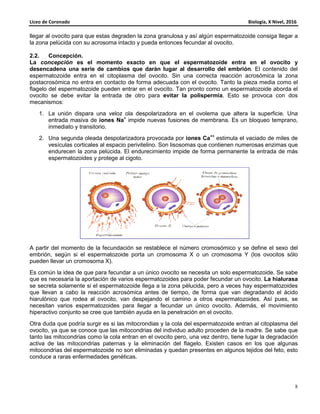 Liceo de Coronado Biología, X Nivel, 2016
8
llegar al ovocito para que estas degraden la zona granulosa y así algún espermatozoide consiga llegar a
la zona pelúcida con su acrosoma intacto y pueda entonces fecundar al ovocito.
2.2. Concepción.
La concepción es el momento exacto en que el espermatozoide entra en el ovocito y
desencadena una serie de cambios que darán lugar al desarrollo del embrión. El contenido del
espermatozoide entra en el citoplasma del ovocito. Sin una correcta reacción acrosómica la zona
postacrosómica no entra en contacto de forma adecuada con el ovocito. Tanto la pieza media como el
flagelo del espermatozoide pueden entrar en el ovocito. Tan pronto como un espermatozoide aborda el
ovocito se debe evitar la entrada de otro para evitar la polispermia. Esto se provoca con dos
mecanismos:
1. La unión dispara una veloz ola despolarizadora en el ovolema que altera la superficie. Una
entrada masiva de iones Na+
impide nuevas fusiones de membrana. Es un bloqueo temprano,
inmediato y transitorio.
2. Una segunda oleada despolarizadora provocada por iones Ca++
estimula el vaciado de miles de
vesículas corticales al espacio perivitelino. Son lisosomas que contienen numerosas enzimas que
endurecen la zona pelúcida. El endurecimiento impide de forma permanente la entrada de más
espermatozoides y protege al cigoto.
A partir del momento de la fecundación se restablece el número cromosómico y se define el sexo del
embrión, según si el espermatozoide porta un cromosoma X o un cromosoma Y (los ovocitos sólo
pueden llevar un cromosoma X).
Es común la idea de que para fecundar a un único ovocito se necesita un solo espermatozoide. Se sabe
que es necesaria la aportación de varios espermatozoides para poder fecundar un ovocito. La hialurasa
se secreta solamente si el espermatozoide llega a la zona pélucida, pero a veces hay espermatozoides
que llevan a cabo la reacción acrosómica antes de tiempo, de forma que van degradando el ácido
hiarulónico que rodea al ovocito, van despejando el camino a otros espermatozoides. Así pues, se
necesitan varios espermatozoides para llegar a fecundar un único ovocito. Además, el movimiento
hiperactivo conjunto se cree que también ayuda en la penetración en el ovocito.
Otra duda que podría surgir es si las mitocrondias y la cola del espermatozoide entran al citoplasma del
ovocito, ya que se conoce que las mitocondrias del individuo adulto proceden de la madre. Se sabe que
tanto las mitocondrias como la cola entran en el ovocito pero, una vez dentro, tiene lugar la degradación
activa de las mitocondrias paternas y la eliminación del flagelo. Existen casos en los que algunas
mitocondrias del espermatozoide no son eliminadas y quedan presentes en algunos tejidos del feto, esto
conduce a raras enfermedades genéticas.
 