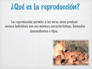 ¿Qué es la reproducción?
La reproducción permite a los seres vivos producir
nuevos individuos con sus mismas características, llamados
descendientes o hijos.

 
