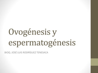 Ovogénesis y 
espermatogénesis 
BIOQ. JOSÉ LUIS RODRÍGUEZ TENESACA 
 