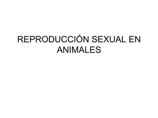 REPRODUCCIÓN SEXUAL EN
ANIMALES
 