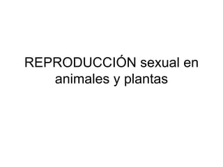REPRODUCCIÓN sexual en animales y plantas 