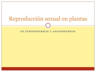 Reproducción sexual en plantas

    EN GIMNOSPERMAS Y ANGIOSPERMAS
 