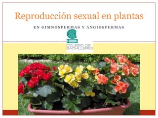 Reproducción sexual en plantas
EN GIMNOSPERMAS Y ANGIOSPERMAS

 