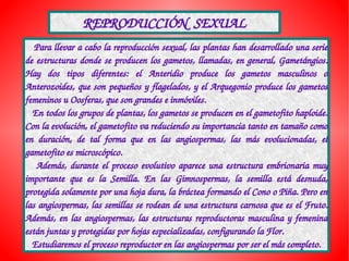 REPRODUCCIÓN  SEXUAL
   Para llevar a cabo la reproducción sexual, las plantas han desarrollado una serie 
de estructuras donde se producen los gametos, llamadas, en general, Gametángios. 
Hay  dos  tipos  diferentes:  el  Anteridio  produce  los  gametos  masculinos  o 
Anterozoides, que son pequeños y flagelados, y el Arquegonio produce los gametos 
femeninos u Oosferas, que son grandes e inmóviles.
   En todos los grupos de plantas, los gametos se producen en el gametofito haploide. 
Con la evolución, el gametofito va reduciendo su importancia tanto en tamaño como 
en  duración,  de  tal  forma  que  en  las  angiospermas,  las  más  evolucionadas,  el 
gametofito es microscópico.
      Además,  durante  el  proceso  evolutivo  aparece  una  estructura  embrionaria  muy 
importante  que  es  la  Semilla.  En  las  Gimnospermas,  la  semilla  está  desnuda, 
protegida solamente por una hoja dura, la bráctea formando el Cono o Piña. Pero en 
las angiospermas, las semillas se rodean de una estructura carnosa que es el Fruto. 
Además,  en  las  angiospermas,  las  estructuras  reproductoras  masculina  y  femenina 
están juntas y protegidas por hojas especializadas, configurando la Flor.
   Estudiaremos el proceso reproductor en las angiospermas por ser el más completo. 
 