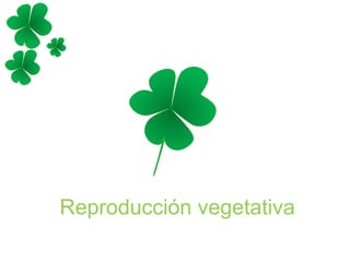 Reproducción vegetativa
 