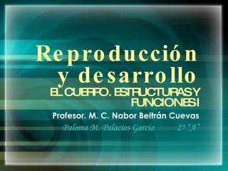 Reproducción y desarrollo EL CUERPO. ESTRUCTURAS Y FUNCIONES I Profesor. M. C. Nabor Beltrán Cuevas Paloma M. Palacios García 2° “A” 