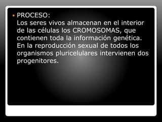  PROCESO:
Los seres vivos almacenan en el interior
de las células los CROMOSOMAS, que
contienen toda la información genética.
En la reproducción sexual de todos los
organismos pluricelulares intervienen dos
progenitores.
 