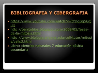 BIBLIOGRAFIA Y CIBERGRAFIA
 https://www.youtube.com/watch?v=tYDgGgSGQ
uQ
 http://benitobios.blogspot.com/2009/05/fases-
de-la-mitosis.html
 http://www.biologia.arizona.edu/cell/tutor/mitosi
s/cells3.html
 Libro: ciencias naturales 7 educación básica
secundaria
 