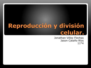 Reproducción y división
celular.
Jonathan Vélez Flechas
Jason Cataño Ríos
11°4
 