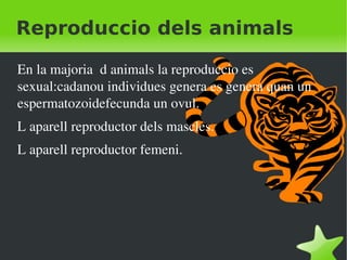 Reproduccio dels animals ,[object Object]