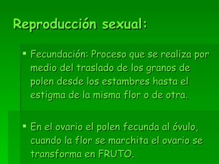 Reproducción sexual: Fecundación: Proceso que se realiza por medio del traslado de los granos de polen desde los estambres hasta el estigma de la misma flor o de otra. En el ovario el polen fecunda al óvulo, cuando la flor se marchita el ovario se transforma en FRUTO. 