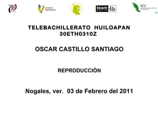 TELEBACHILLERATO  HUILOAPAN 30ETH0310Z  OSCAR CASTILLO SANTIAGO REPRODUCCIÒN Nogales, ver.  03 de Febrero del 2011 