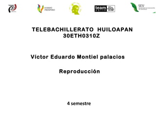 TELEBACHILLERATO  HUILOAPAN 30ETH0310Z  Víctor Eduardo Montiel palacios  Reproducción  4 semestre  