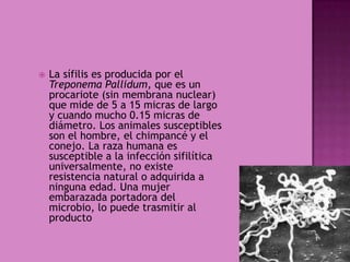    El síndrome de inmunodeficiencia adquirida ( SIDA en castellano y
    AIDS en inglés) es una enfermedad de transmisión...
