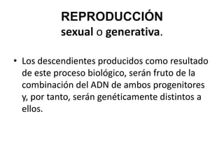 REPRODUCCIÓN
           sexual o generativa.

• Los descendientes producidos como resultado
  de este proceso biológico, serán fruto de la
  combinación del ADN de ambos progenitores
  y, por tanto, serán genéticamente distintos a
  ellos.
 